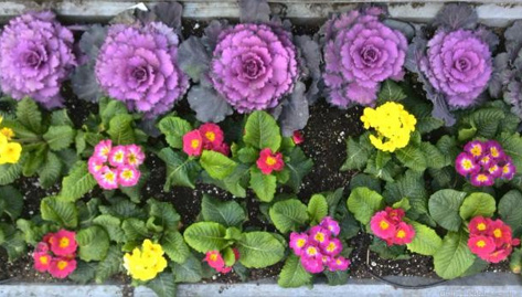 1356162865_35432678-outdoor610x344.jpg 1356162865_35432678-outdoor610x344.jpg