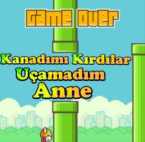Flappy Bird batağında neler oldu neler? - Resim: 6