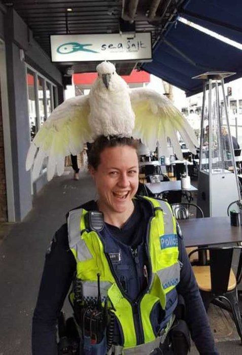 Günün en çok paylaşılan fotoğrafları - 7 Temmuz 2018 - Resim: 20