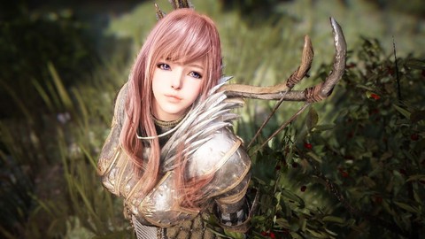 Black Desert dev güncellemesi ile Steam'e geliyor!