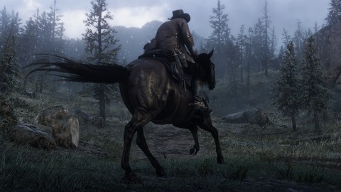 Red Dead Redemption 2 kaç GB yer kaplayacak?