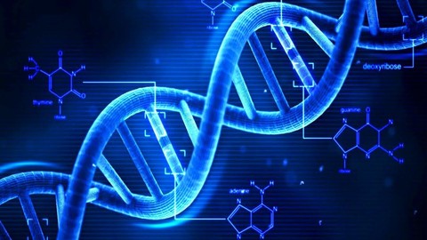 DNA testleri Black Friday kapsamında indirime girdi!