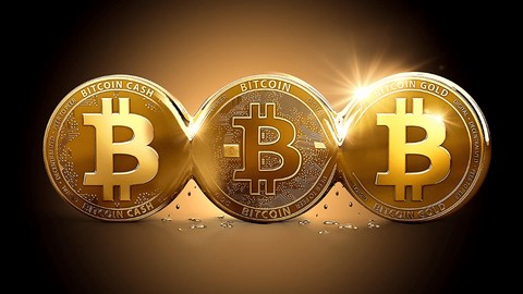 İşte kripto dünyasının en çok tercih edilen koinleri
