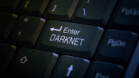 Almanya'da Darknet baskını!