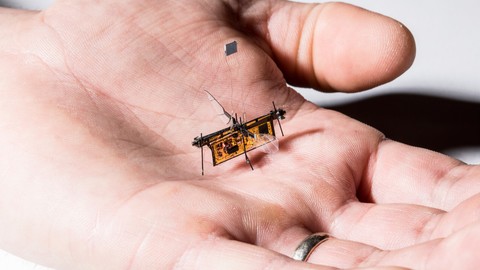 Güney Kore hayvan görünümünde askeri robotlar geliştiriyor