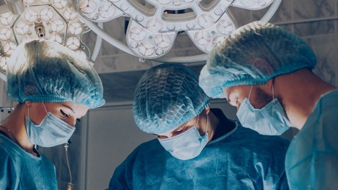 Tıp dünyasında bir ilk, insana domuz böbreği takıldı