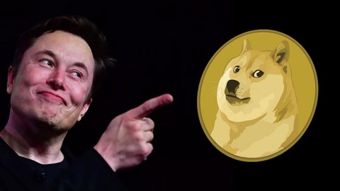 Elon Musk bu şarkı için rekor ücret istiyor! Ada mı satın alıyoruz?
