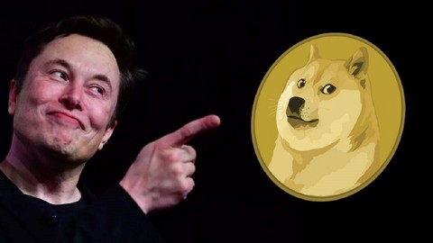 Elon Musk tweet attı Dogecoin yine tavan yaptı