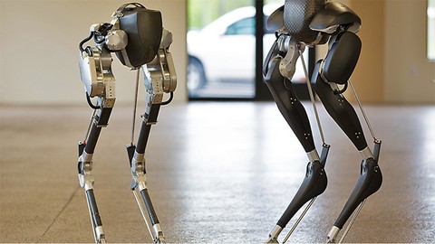 Devekuşuna benzeyen robot!