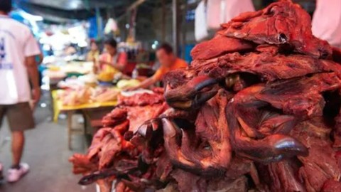 Yeni bir salgın geliyor! Bu kez Peru'dan çıktı