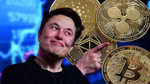 Elon Musk'tan yeni Bitcoin paylaşımı!
