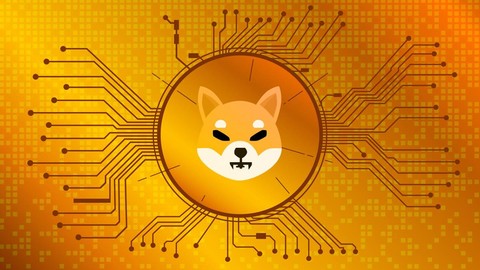 Shiba Inu sert düştü! Elon Musk haklıymış