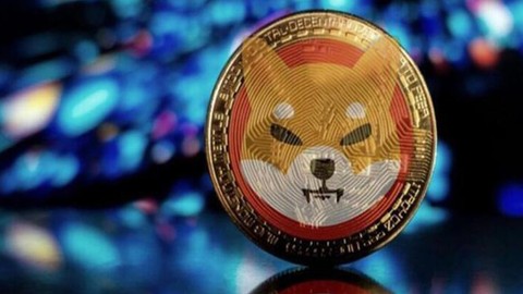 Shiba Inu piyasa değeri bir haftada 3.5 milyar dolar küçüldü! Sırada ne var?