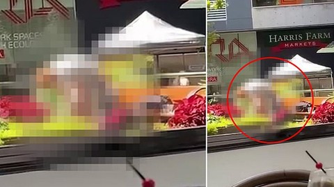 Güpegündüz bankta ilişkiye giren çift sosyal medyada viral oldu