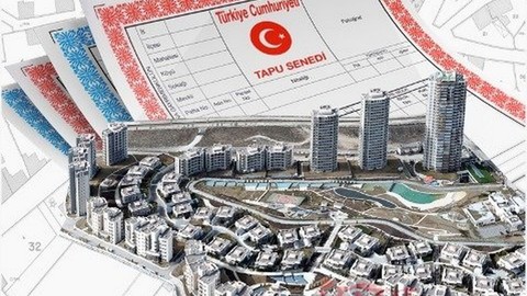 Tapular metaverse evrenine taşınıyor!