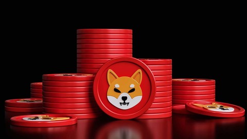 Shiba Inu (SHIB)'dan şaşırtan Türkiye hamlesi!