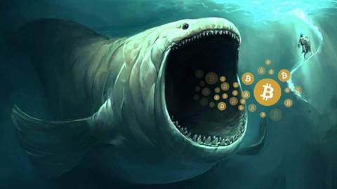 Veriler, Bitcoin'in balinaların desteğinden yoksun olabileceğini gösteriyor!
