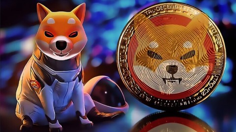 Shiba Inu, tek bir günde 30.000'den fazla sahibini kaybetti! İşte nedeni!