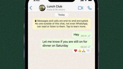 WhatsApp tepki emojileri geliyor! İşte nasıl görünecekleri