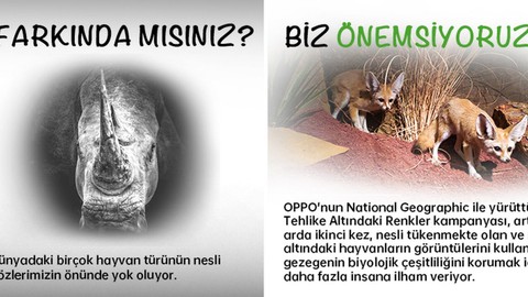 OPPO Gezegene Yeşil Bir Dokunuşla Katkı Sunuyor