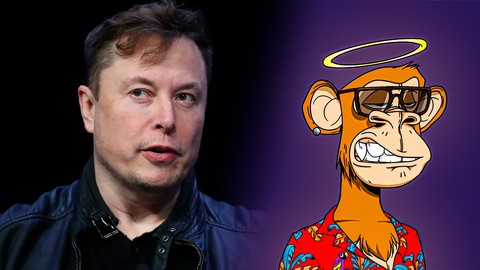 Elon Musk Twitter resmini değiştirdi, ApeCoin fiyatı uçuşa geçti!