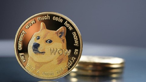 DOGE milyonerlerinin sayısı 2022'de yüzde 52 düştü!