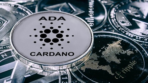 Toplam Cardano cüzdan sayısı 3,5 milyona ulaştı! Yükseliş işareti mi?