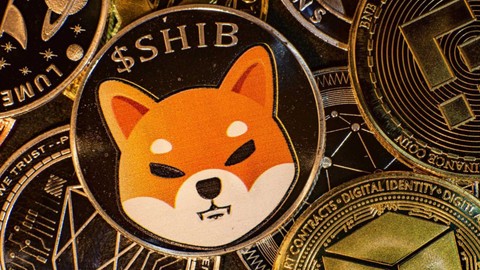 SHIB rallisi devam edecek mi? Piyasası 24 saat içinde 1.5 milyar dolar değerlendi!