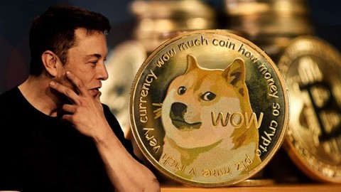 Dogecoin bir haftada %115 arttı! Devamı gelir mi?