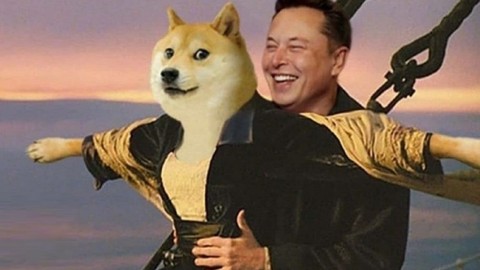 Elon Musk, Dogecoin 'piramit şeması' nedeni ile dava edildi.