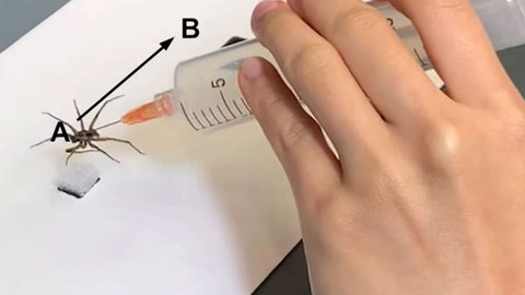 Ölü örümcekler artık robota dönüşecek!