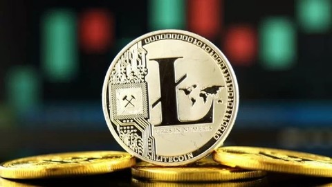 Litecoin sahiplerinin %14'ü, Ethereum sahiplerinin %51 karda!