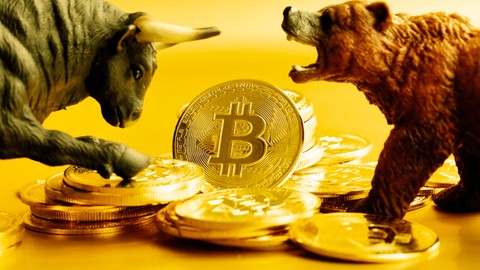 Bitwise CEO'su, 2024'te kripto rallisi projelerinden bahsetti!