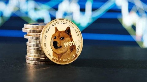 340.000 adres bu fiyattan 64 milyar DOGE satın almış!