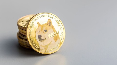 Çalışma: Dogecoin sahipleri krizinin en az stresli olan yatırımcıları!