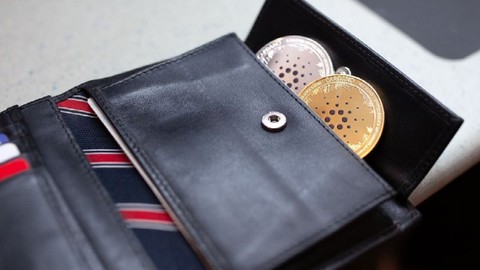 Cardano, Kasım ayında 100.000'den fazla cüzdan ekledi! Patlamaya hazırlık mı?