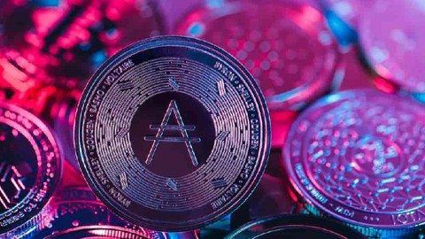 Cardano akıllı sözleşmelerinin sayısı 2022'de %300'ün üzerinde arttı