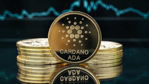 Cardano, zorlu yıla rağmen 2022'de göz kamaştırdı!