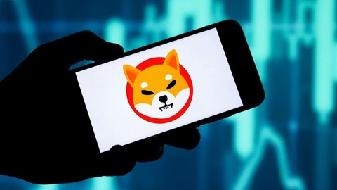 Shiba Inu (SHIB) 2023 için iyi bir yatırım mı?