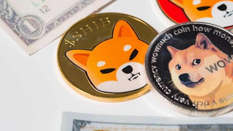 İddia: SHIB, DOGE, XRP kripto paranın en düşük değer biçilen varlıkları