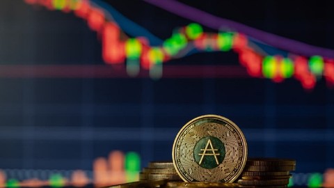 Cardano Şubat ayında 1 doları görebilir mi?