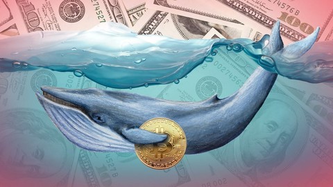 Bitcoin bir yıldır ilk defa 30 Bin dolar seviyesini aştı! [Yoksa Balina mı!]