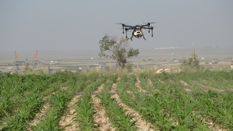 Drone'lar tarlaya indi! Çiftçinin yükü azaldı