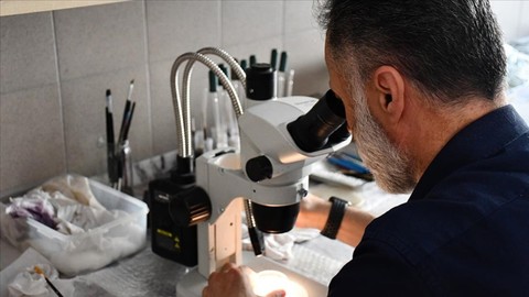 Türk bilim insanları yeni bir parazit türü keşfetti