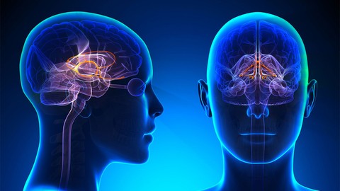 Alzheimer hastalığı 20 yıl önceden tespit edilebilecek!