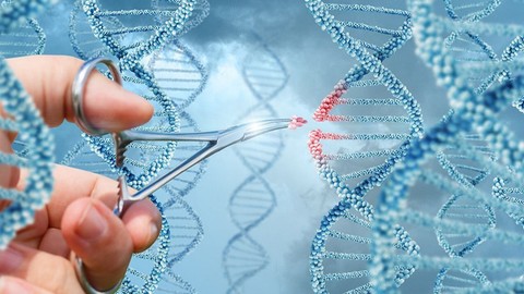 İnsan-Maymun Genetik Benzerlikleri: Genom Analizinin Sırları