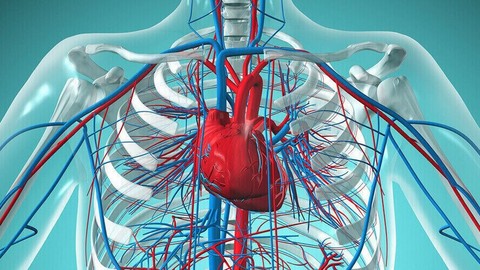 Tıpta yapay organ devrimi, bir sonraki durak ölümsüzlük olabilir