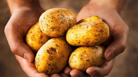 Besin değeri en yüksek 11 yiyecek