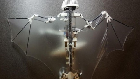 Bilim insanları yarasalar gibi uçabilen robot yaptı