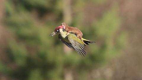 Bu fotoğraf sosyal medyayı salladı